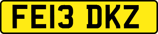 FE13DKZ