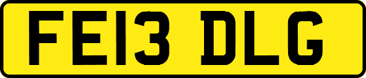 FE13DLG