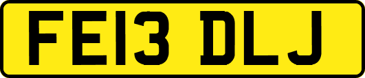 FE13DLJ