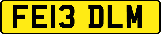 FE13DLM