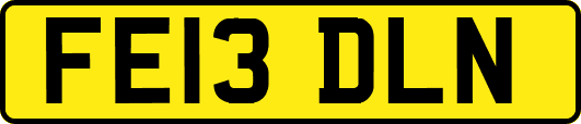 FE13DLN