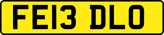 FE13DLO