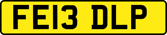 FE13DLP