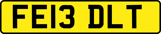 FE13DLT