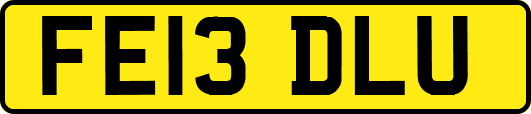 FE13DLU