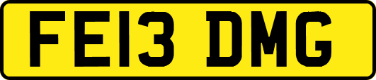 FE13DMG