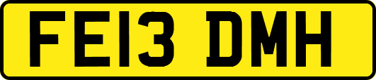 FE13DMH