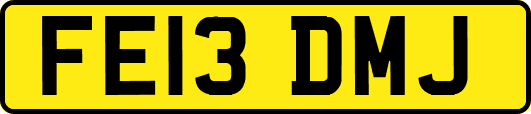 FE13DMJ