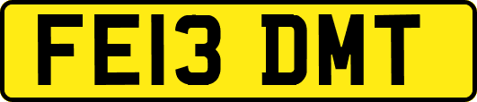 FE13DMT
