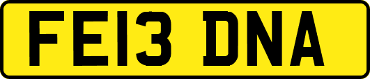 FE13DNA