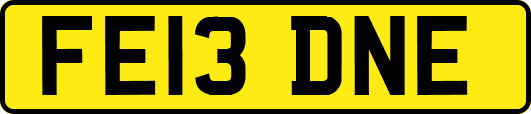 FE13DNE