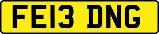 FE13DNG