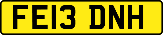FE13DNH