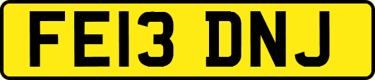 FE13DNJ