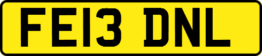 FE13DNL