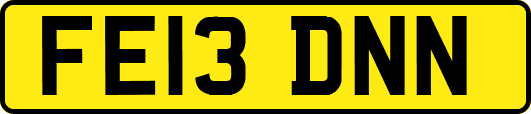 FE13DNN