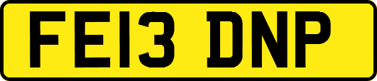FE13DNP