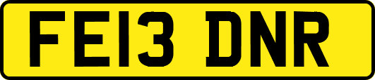 FE13DNR