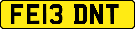 FE13DNT