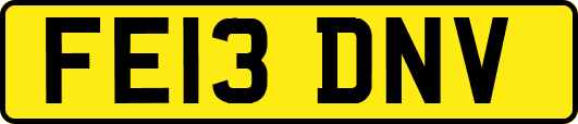 FE13DNV