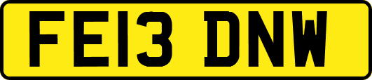 FE13DNW