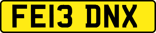 FE13DNX