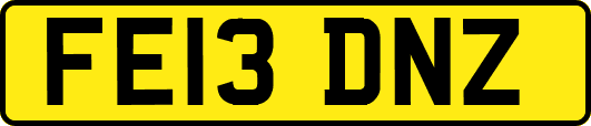 FE13DNZ