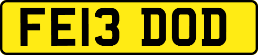 FE13DOD
