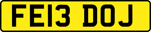FE13DOJ