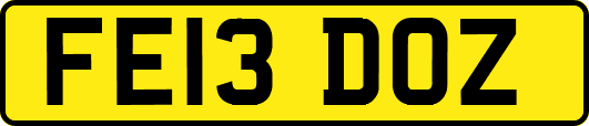 FE13DOZ