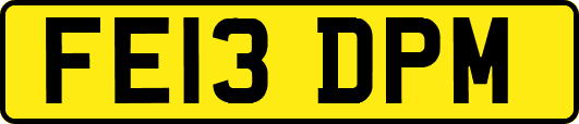 FE13DPM