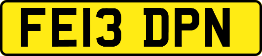 FE13DPN