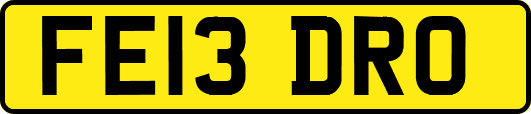 FE13DRO