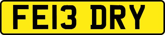 FE13DRY