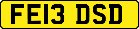 FE13DSD