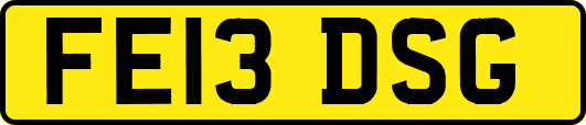 FE13DSG