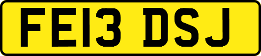 FE13DSJ