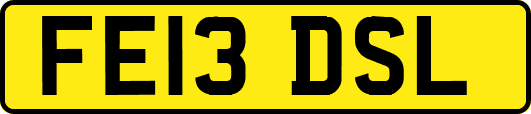 FE13DSL