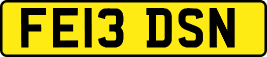 FE13DSN