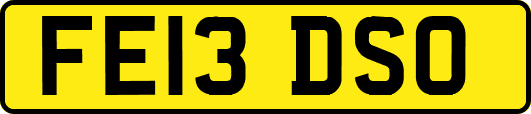 FE13DSO