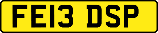 FE13DSP