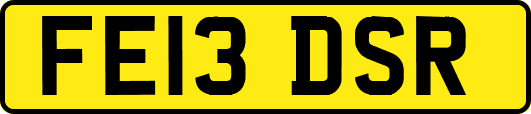 FE13DSR