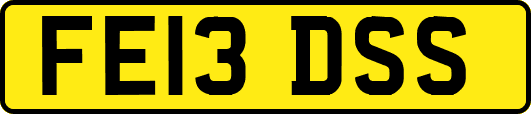FE13DSS