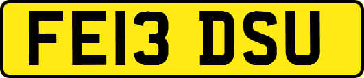 FE13DSU
