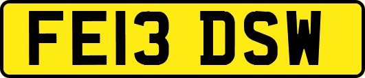 FE13DSW