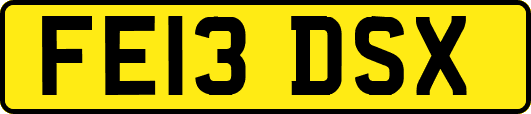 FE13DSX