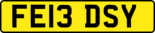 FE13DSY