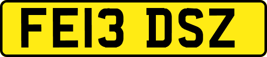FE13DSZ