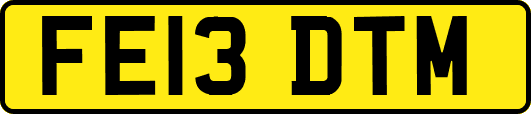 FE13DTM