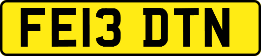 FE13DTN